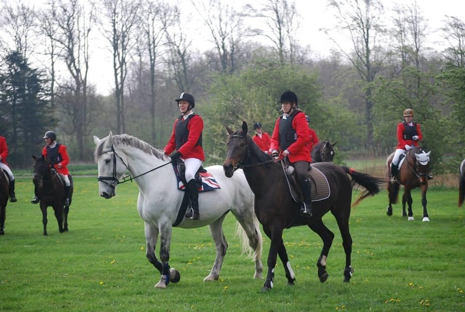 Anden særlig race Isha billede 17