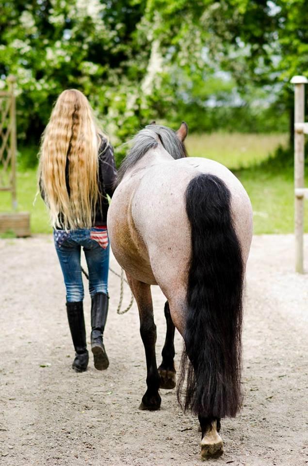 Anden særlig race Manou  *Klubmester spring 2012* billede 20