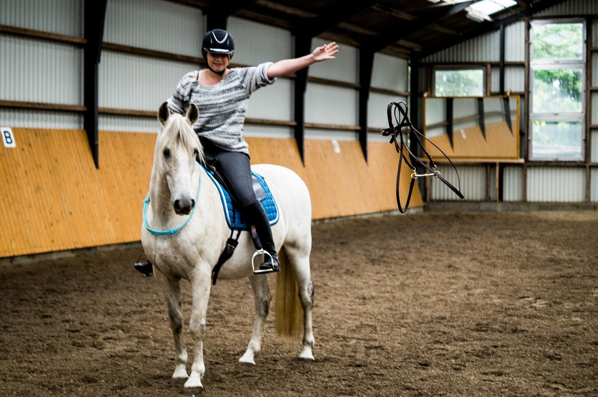 Pura Raza Española Hidalgo - Let go of control - fotograf www.nikolaitange.com billede 1