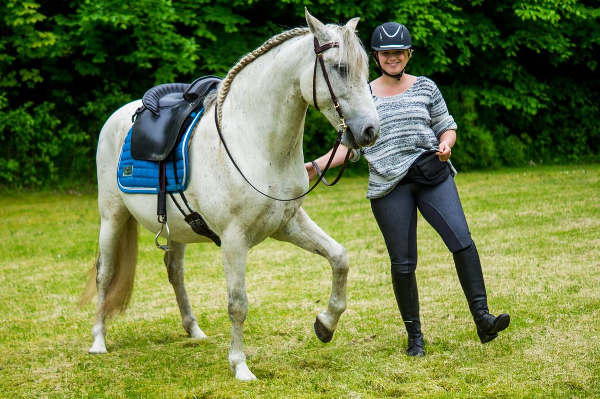 Pura Raza Española Hidalgo - Fotograf: www.nikolaitange.com billede 22