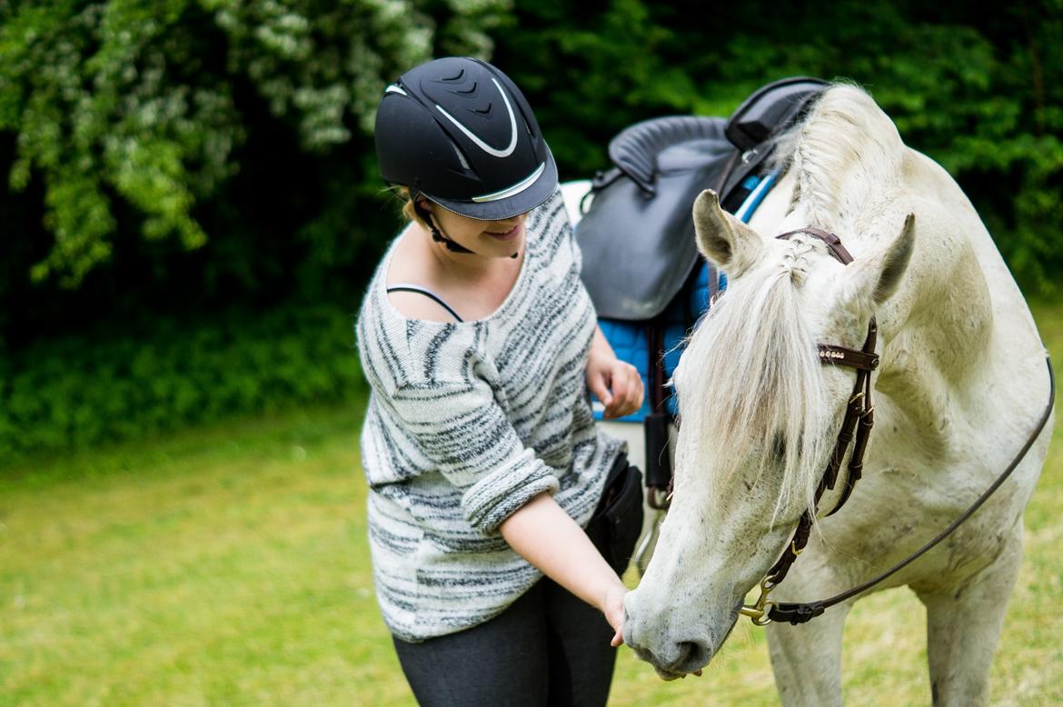 Pura Raza Española Hidalgo - Fotograf: www.nikolaitange.com billede 18