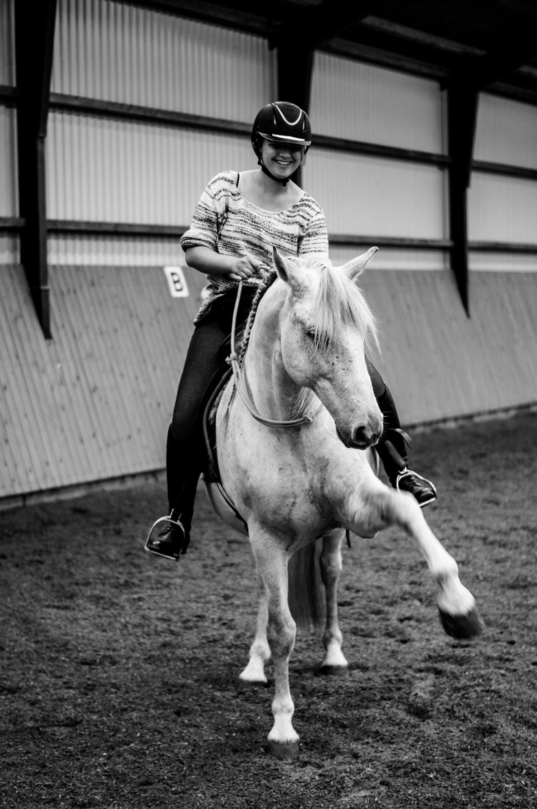 Pura Raza Española Hidalgo - Fotograf: www.nikolaitange.com billede 10