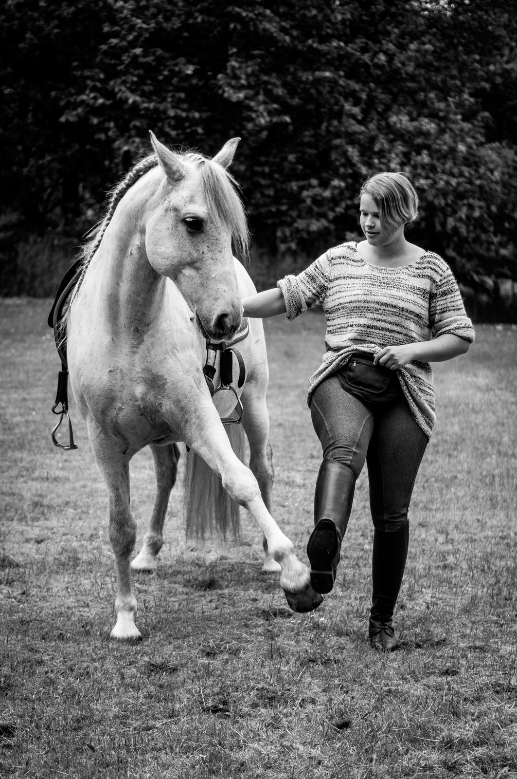 Pura Raza Española Hidalgo - Vi vinker farvel! - Fotograf: www.nikolaitange.com billede 35