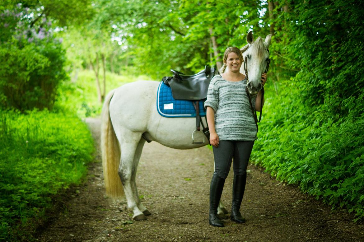 Pura Raza Española Hidalgo - Fotograf: www.nikolaitange.com billede 15