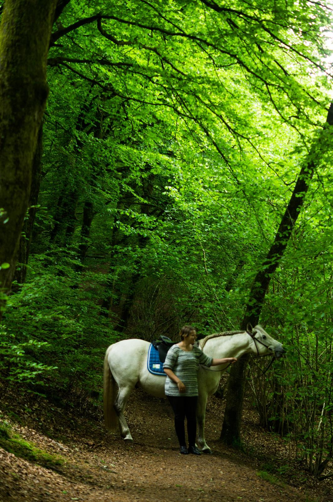Pura Raza Española Hidalgo - Fotograf: www.nikolaitange.com billede 14