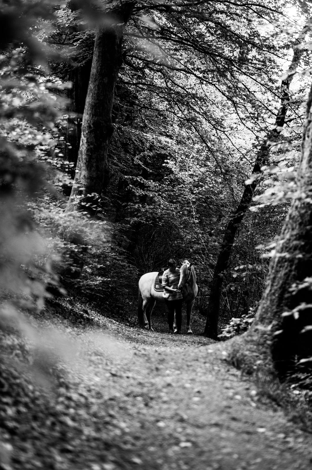 Pura Raza Española Hidalgo - Fotograf: www.nikolaitange.com billede 20