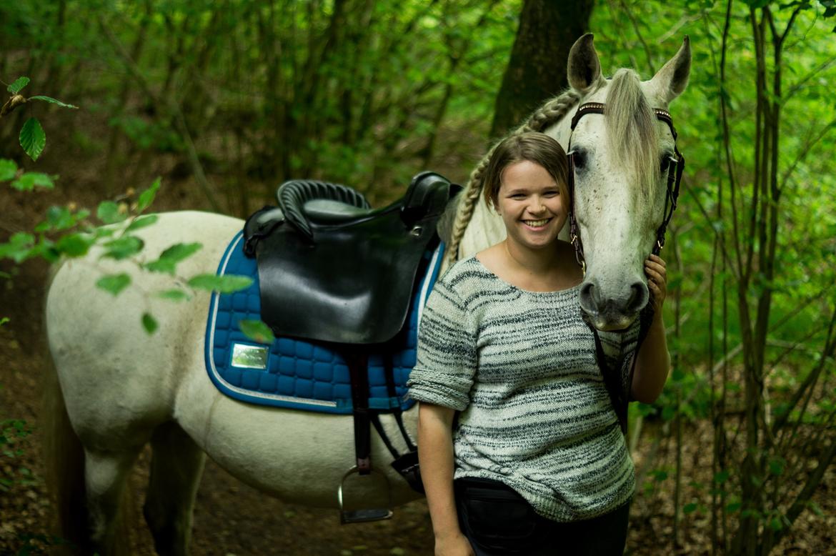 Pura Raza Española Hidalgo - Fotograf: www.nikolaitange.com billede 2