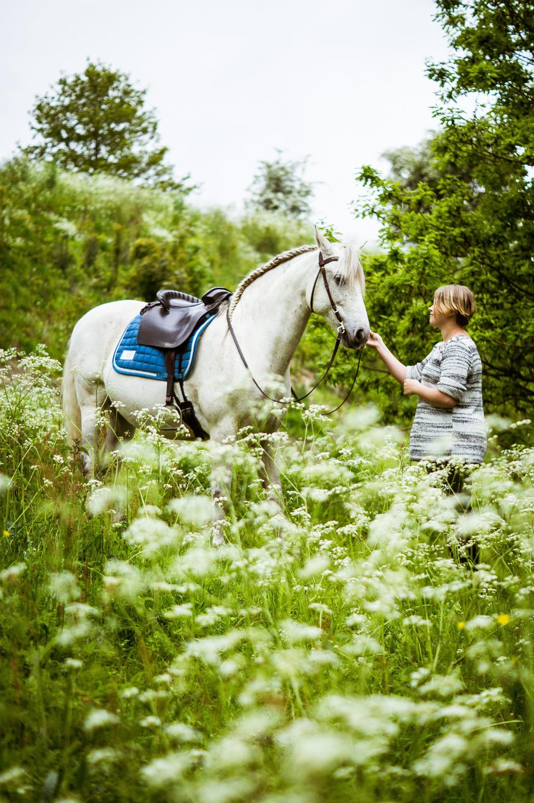 Pura Raza Española Hidalgo - Fotograf: www.nikolaitange.com billede 29