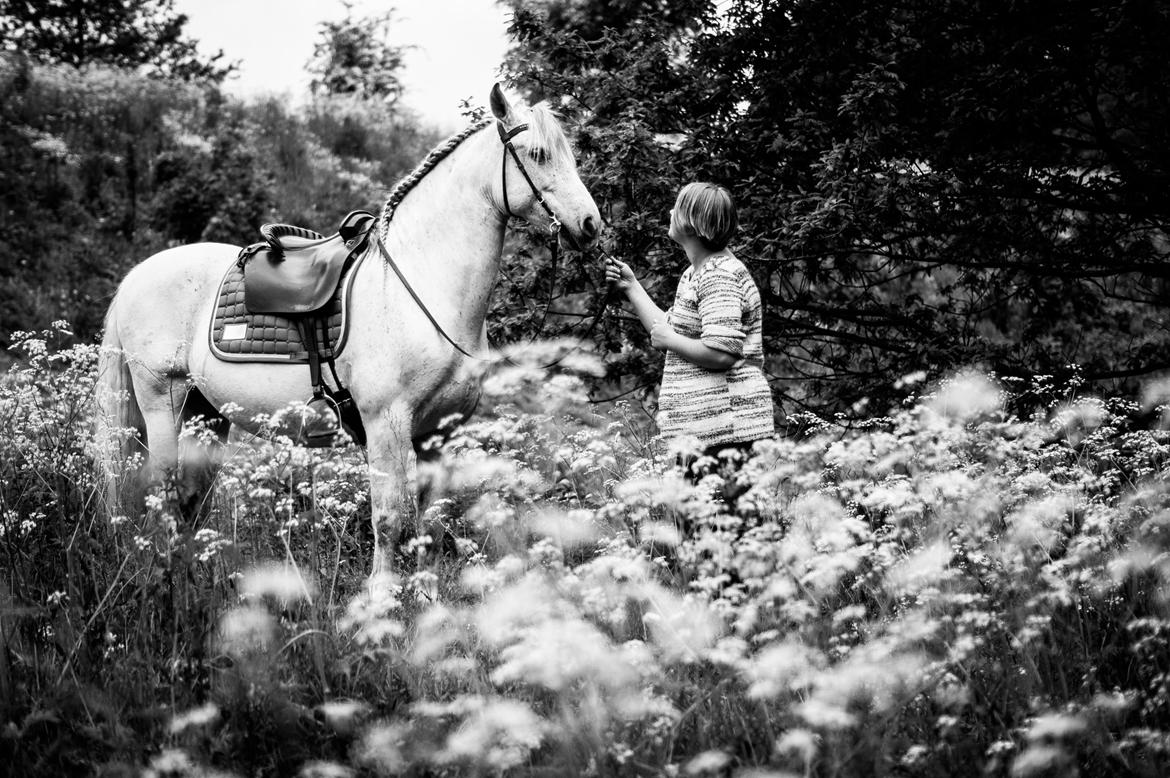 Pura Raza Española Hidalgo - Fotograf: www.nikolaitange.com billede 32