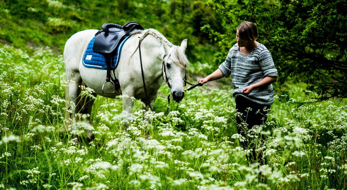 Pura Raza Española Hidalgo - Fotograf: www.nikolaitange.com billede 33