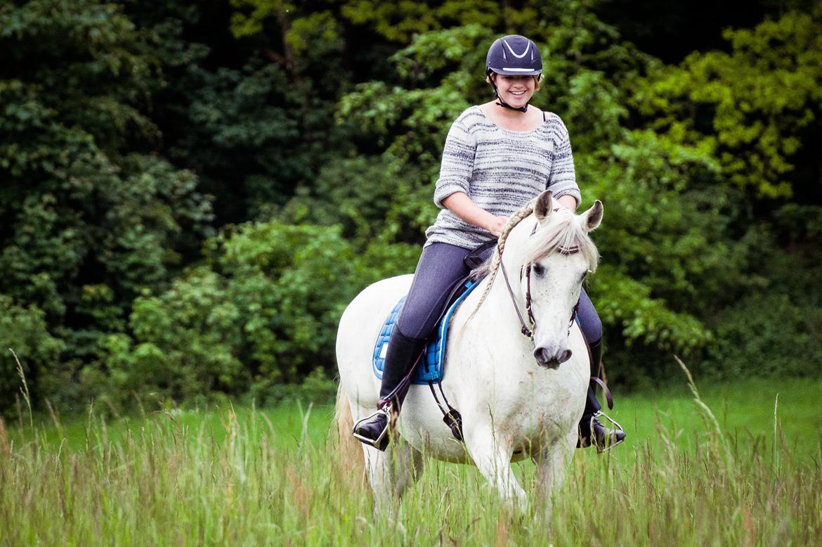 Pura Raza Española Hidalgo - Fotograf: www.nikolaitange.com billede 7