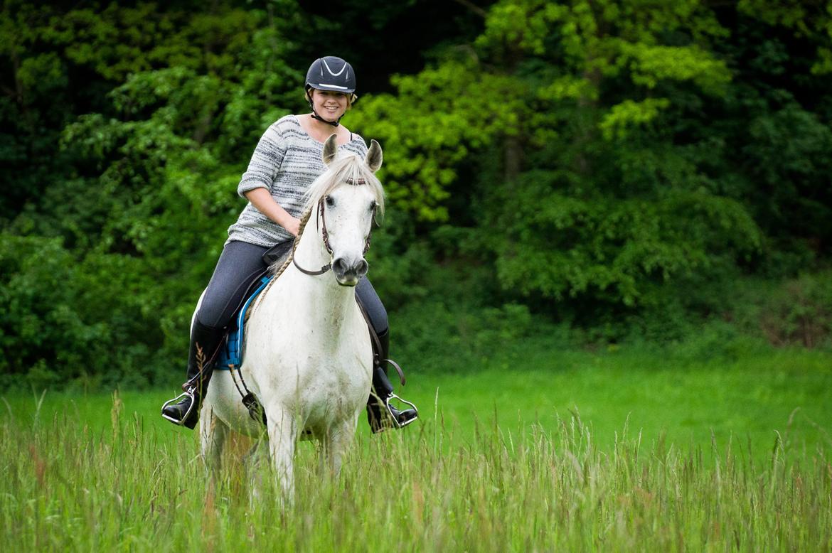 Pura Raza Española Hidalgo - Fotograf: www.nikolaitange.com billede 26