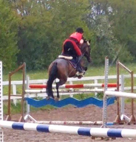 DSP Day-lights naomi - 2015 (hård træning :) ) billede 5