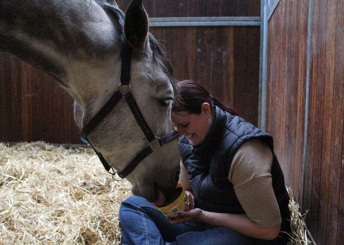 Dansk Varmblod Lambrié Vejen (Avlshoppe) - NYT: Hygge i boksen på Blue Hors :) billede 34