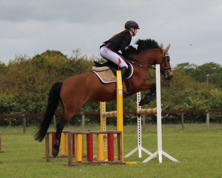 Anden særlig race kiara - Stæve 100cm  billede 16