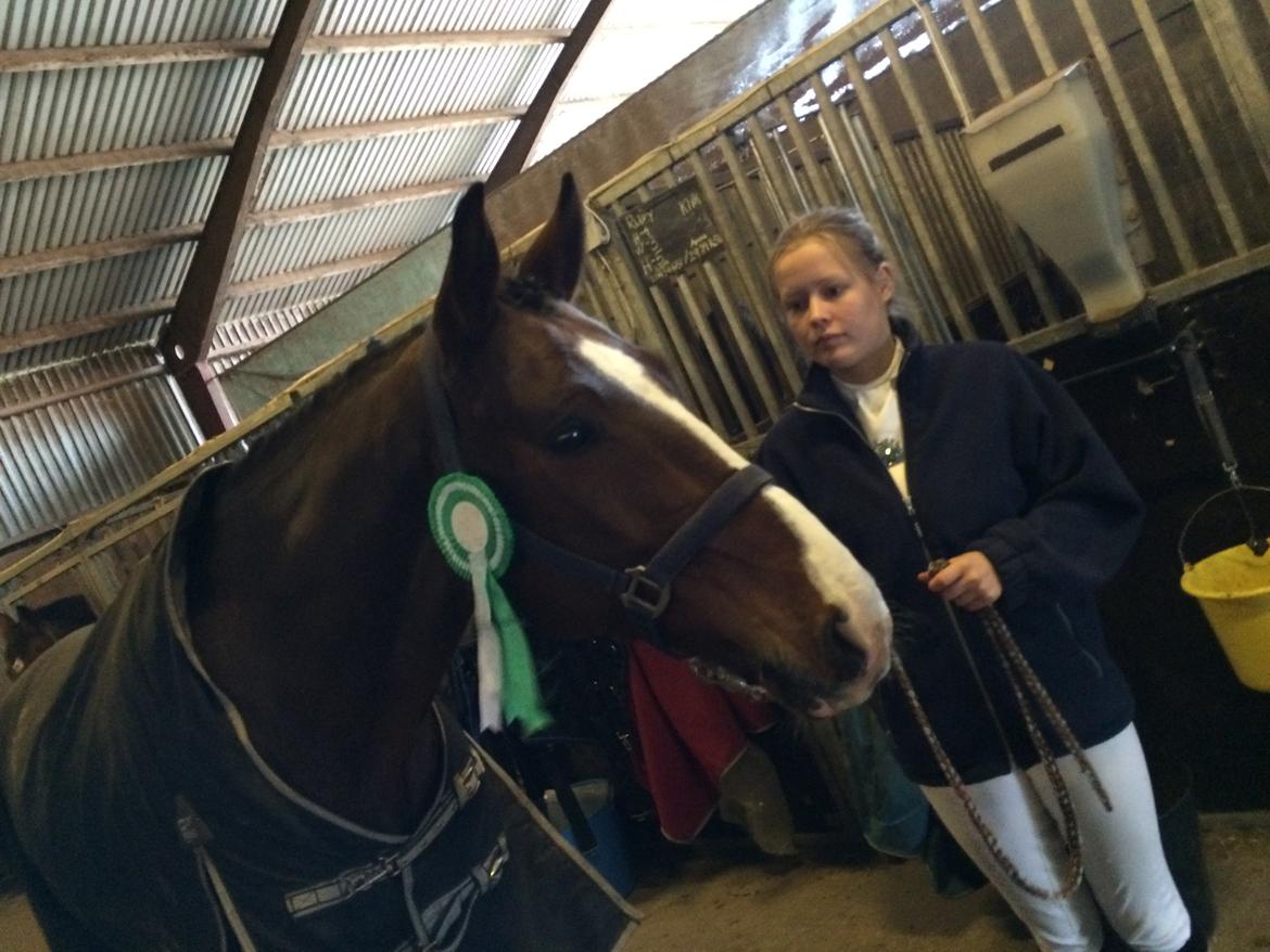 Westfaler Fleaubert von Florencio - 3. plads i LB1 billede 18