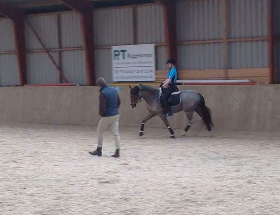 Hollandsk Sportspony Goya billede 35