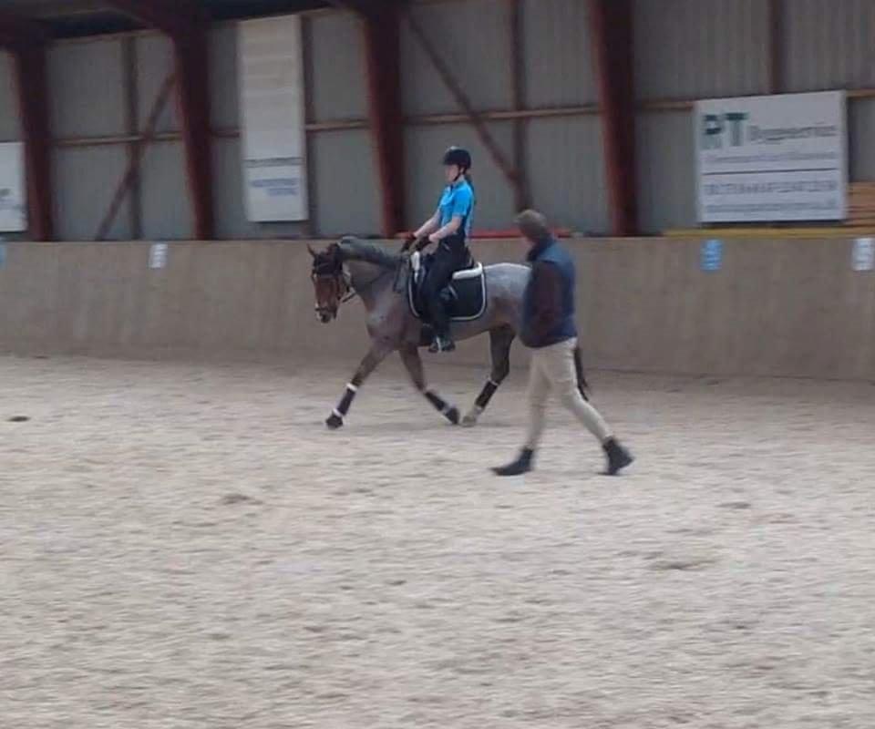 Hollandsk Sportspony Goya billede 38