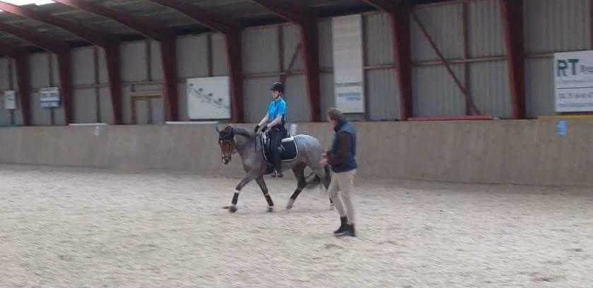 Hollandsk Sportspony Goya billede 43