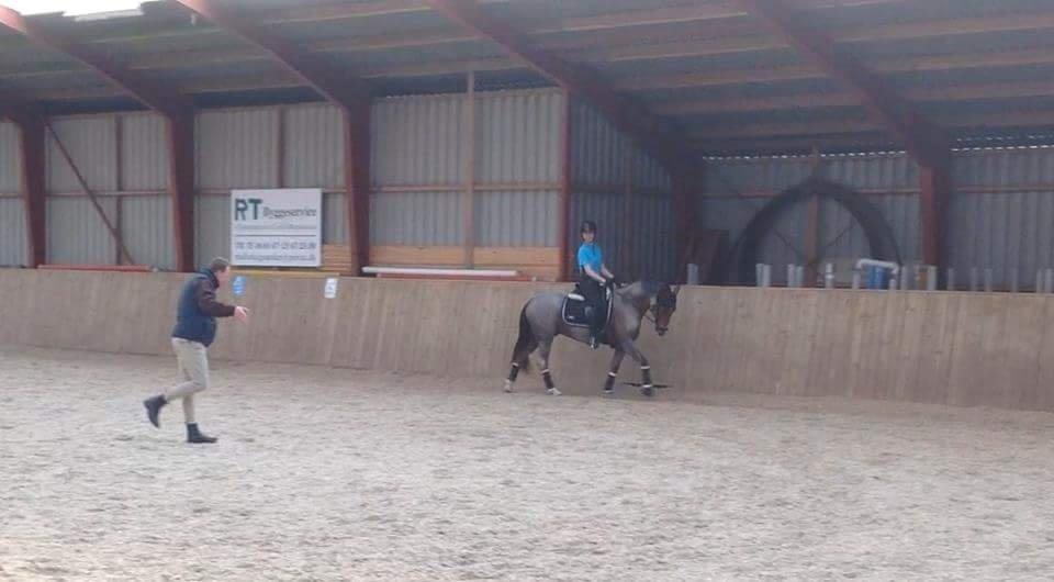 Hollandsk Sportspony Goya billede 48