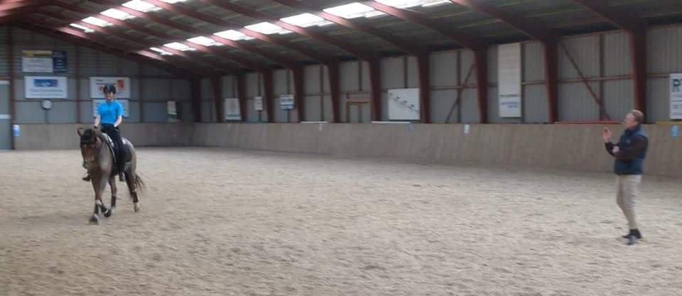 Hollandsk Sportspony Goya billede 49
