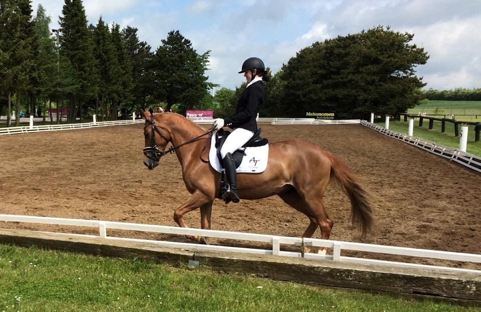 Tysk Sportspony Coccolina De Luxe B-pony  - If you dont fight for what you want, dont cry for what you lose.  billede 10