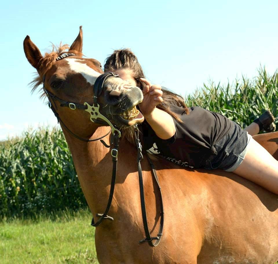 Anden særlig race Misty - Foto; Emilia Nørskov billede 5