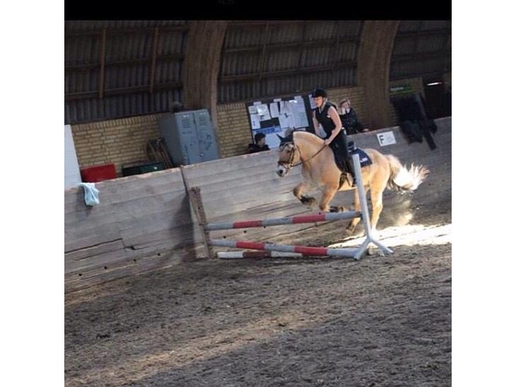 {{currentPhoto.altText}} billede {{currentPhoto.number}}