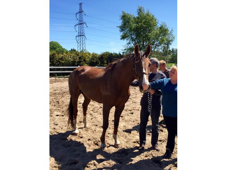 {{currentPhoto.altText}} billede {{currentPhoto.number}}