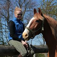 Frederiksborg Diamant