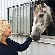 Pura Raza Española Rapido MAR