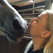 Pura Raza Española Rapido MAR