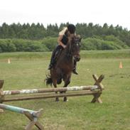 Anden særlig race Komet