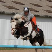 Anden særlig race Gizmo