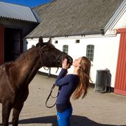 Anden særlig race Copper