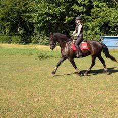 Frieser Viktor (Rider)