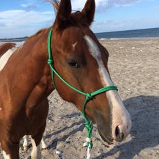 Paint Thumbs up for Obi