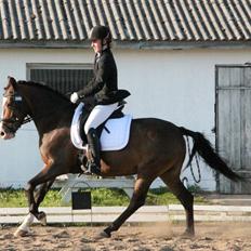 Anden særlig race Bonette 