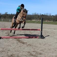 Anden særlig race Anne