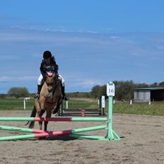 Anden særlig race Anne