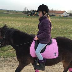 Anden særlig race Askepot