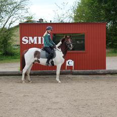 Anden særlig race Leopold