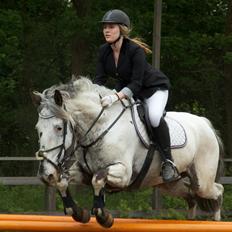 Knabstrupper Rikke Af Dutterup