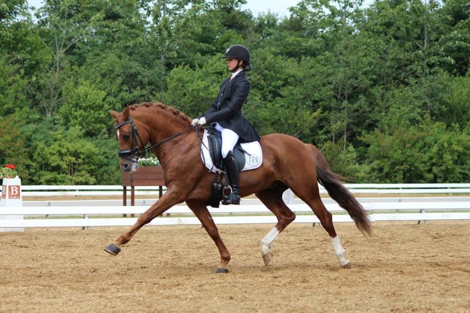 DSP Matthi B Pony! - Hjallerup landsstævne 2014  billede 3