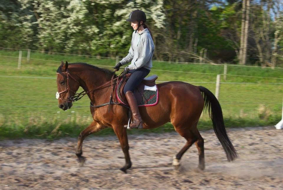 Traver Leve livet billede 15