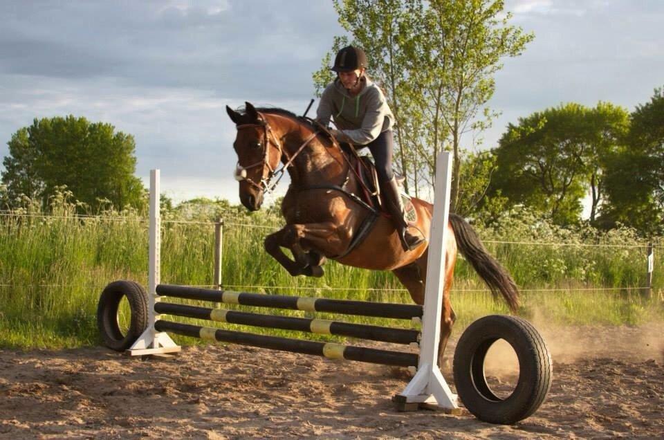 Traver Leve livet billede 3