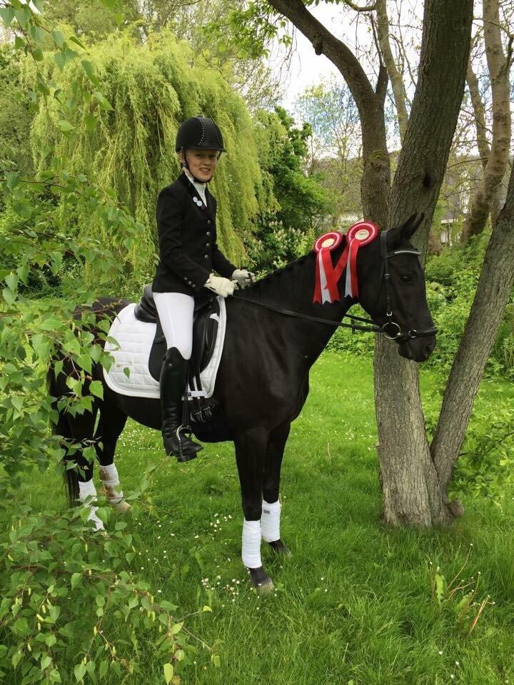 Welsh Partbred (Sec F) Laibek's Fulton - "B" pony !!!! billede 14