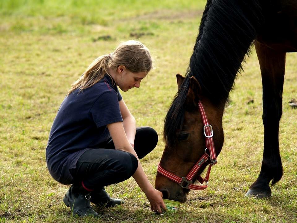 Anden særlig race Teglovnens Sjasmina billede 4