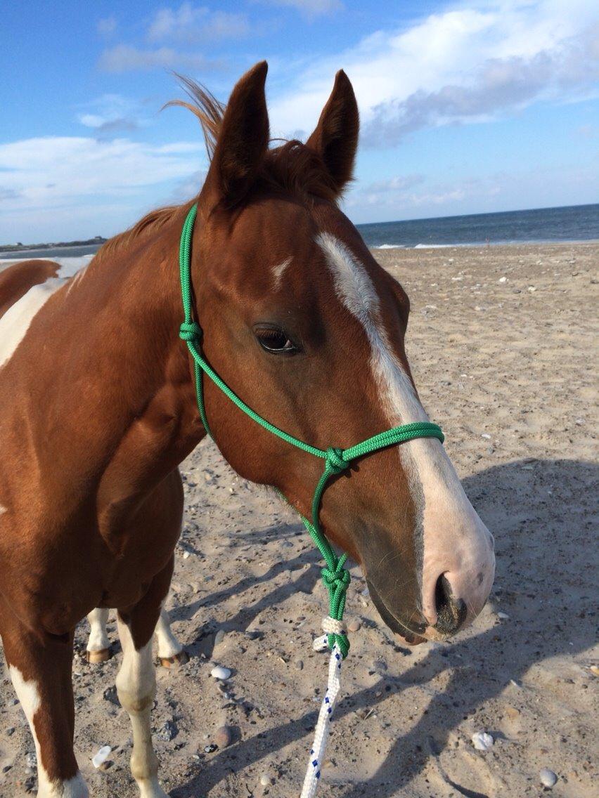 Paint Thumbs up for Obi billede 1