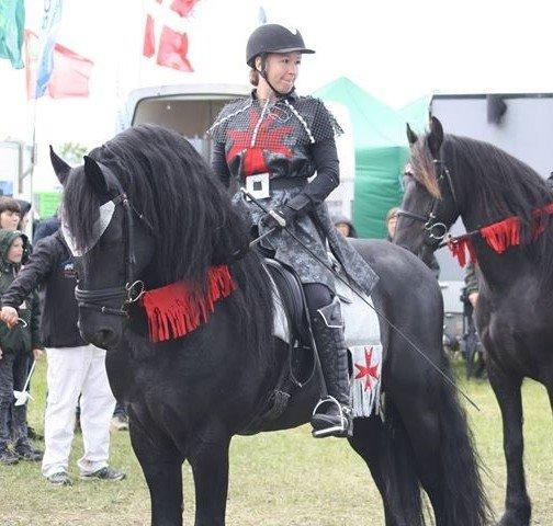 Frieser Derk Wietze V - Show i på Gl. Estrup Landbrugsmesse 2015 med ejer på ryggen :) billede 19